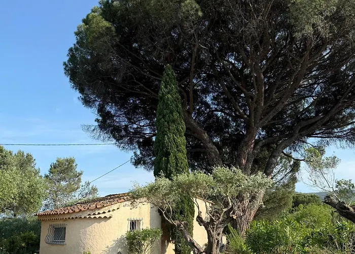Le Mazet Du Grand Pin