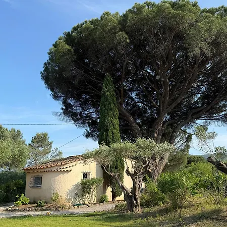 Le Mazet Du Grand Pin Villa Cogolin Exterior photo